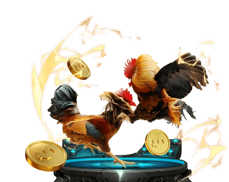 Hình ảnh tổng quan về lợi ích hoàn trả tiền mặt hàng tuần tại Kuwin